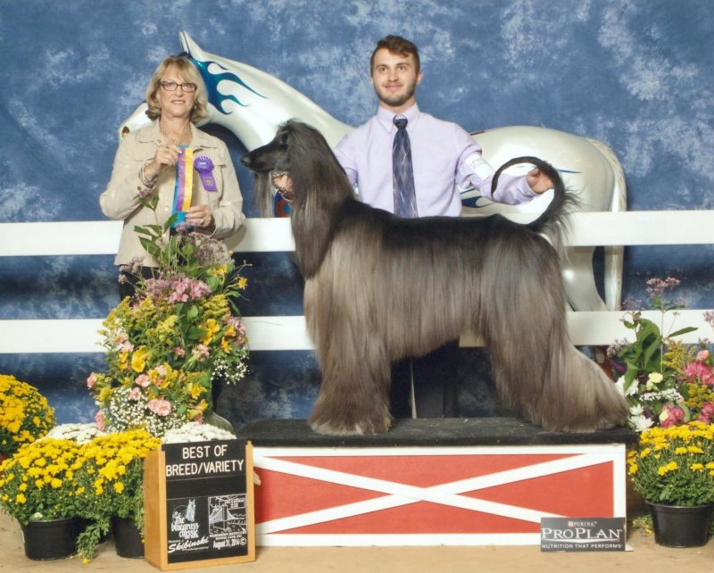 Titan BOB Northern Kentucky KCa.jpg - 1504 K